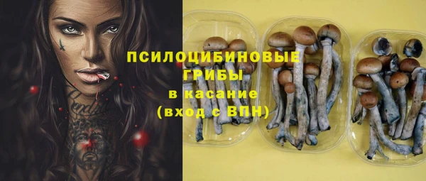 мдпв Беломорск