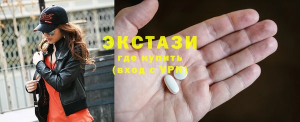 индика Богородск