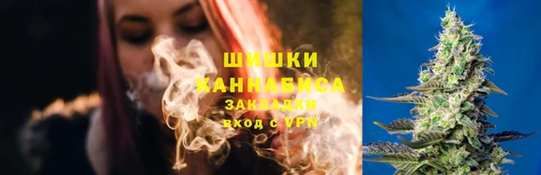 мдпв Нягань