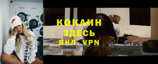 индика Богородск