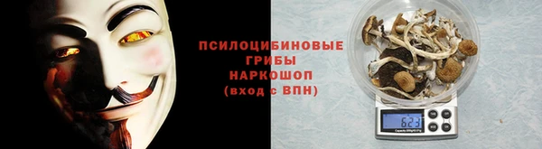 синтетический гашиш Богородицк