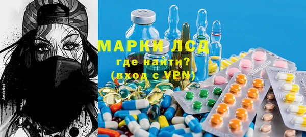 индика Богородск