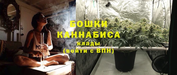 индика Богородск