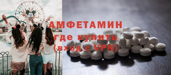 индика Богородск