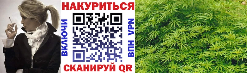 сколько стоит  Горняк  Шишки марихуана план 